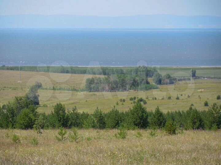 Участок 2,5 га (СНТ, ДНП)