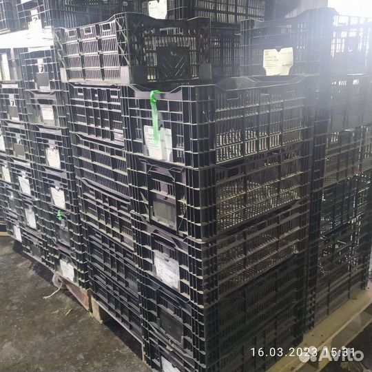 Пластиковые ящики бу