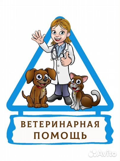 Ветеринарная помощь на дому