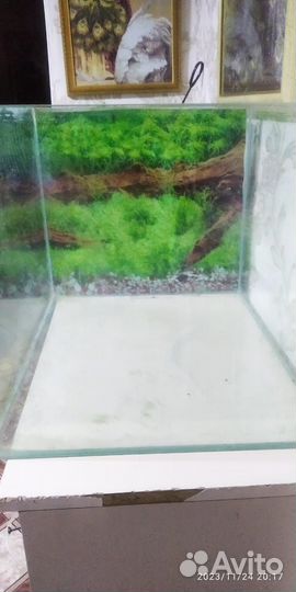 Аквариум