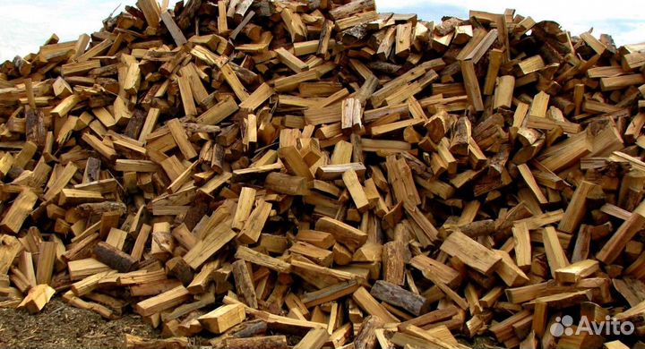 Дрова Береза