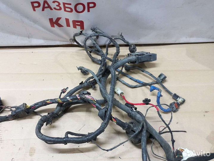 Проводка фар Хундай i40 2015-н.в