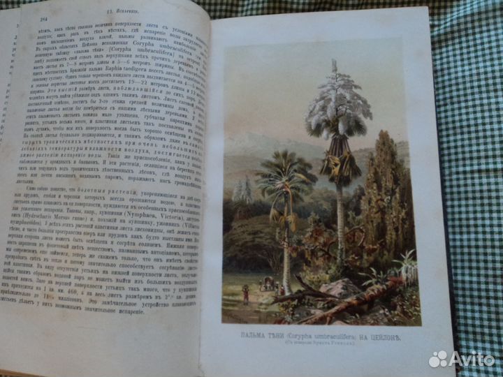 Жизнь растений. 2 тома. 1899 г. Проф.Кернер