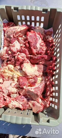 Мясо говядина для собак с доставкой на дом