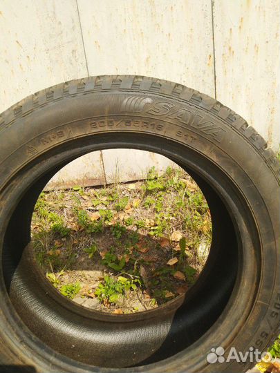 Sava Eskimo Ice 205/55 R16