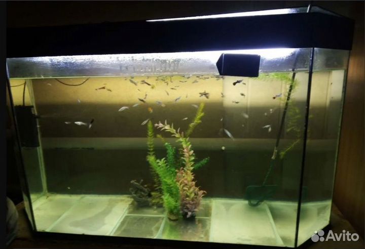 Аквариум