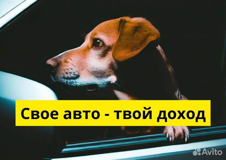 Яндекс Go ищет водителей на своих авто