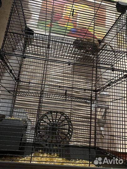 Большая клетка для крыс