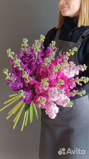 Маттиолы Букет из матиоллы