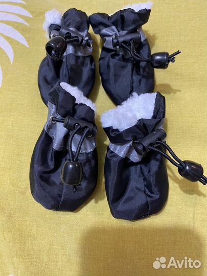 Обувь для маленьких собак