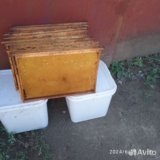 Товары для пчеловодства
