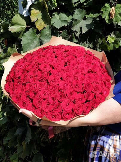Подарите 101 розу