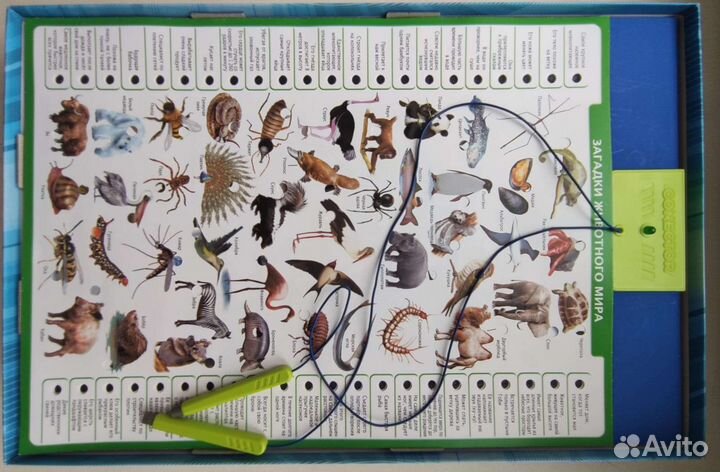 Развивающая настольная игра