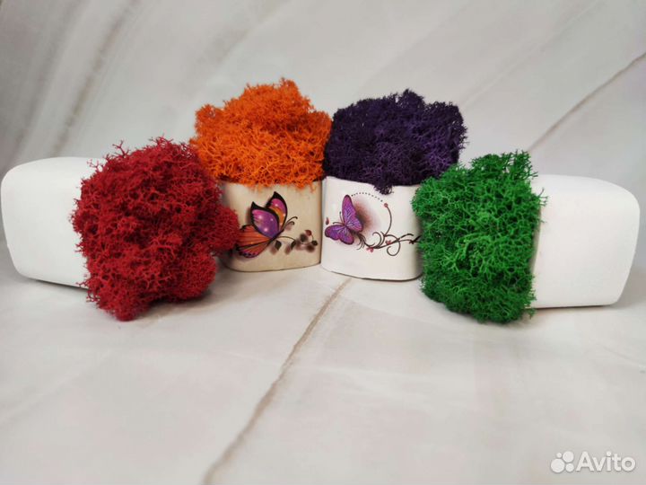 Наборы со стабилизированным мхом