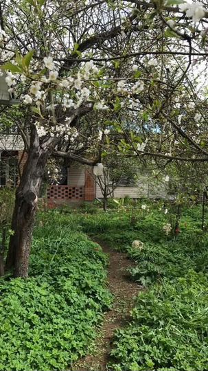 Дом 248 м² на участке 10 сот.