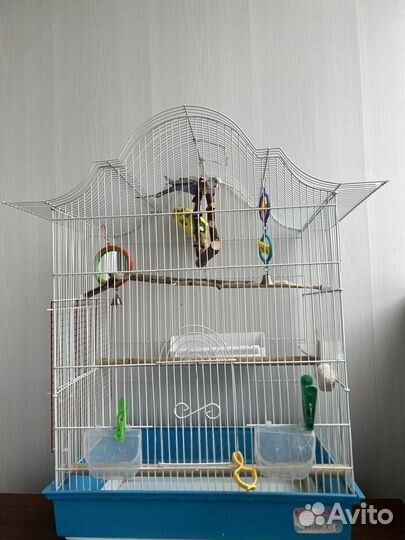 Клетка с 2 Попугаями