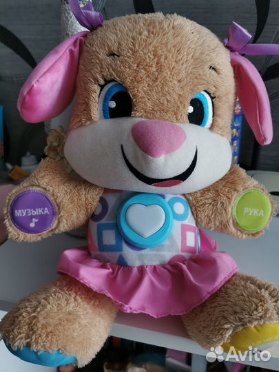 Сестричка ученого щенка