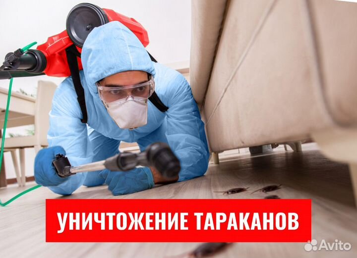Уничтожение клопов, Травля тараканов, Дезинфекция