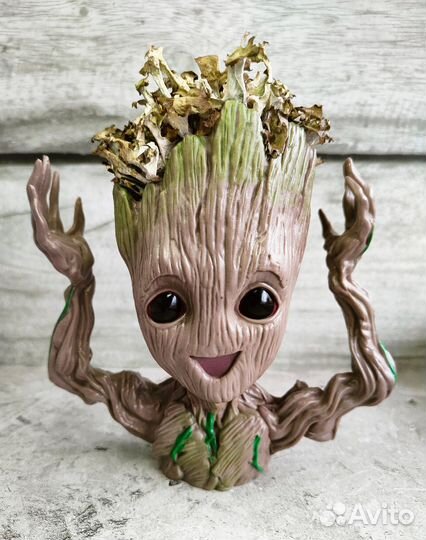 Кашпо Грут с цетрарией