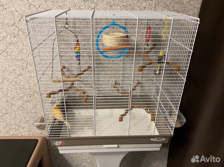 Клетка для птиц iMac camilla, размер 50х30х129см