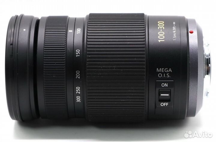Panasonic Lumix G Vario 100-300mm f/4.0-5.6 Mega O