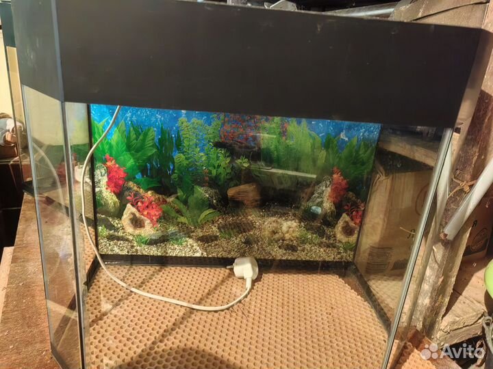 Аквариум