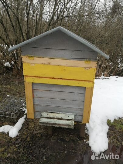 Продам ульи с пчелами
