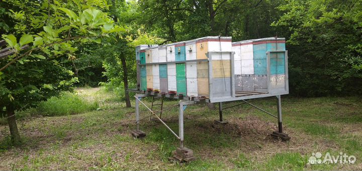 Пчелоплатформа с ульями