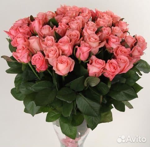 Коралловые розы.Сорт Анна-Карина.Букет с доставкой