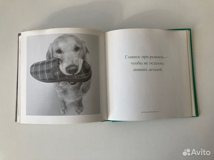 Книга Эх жизнь собачья