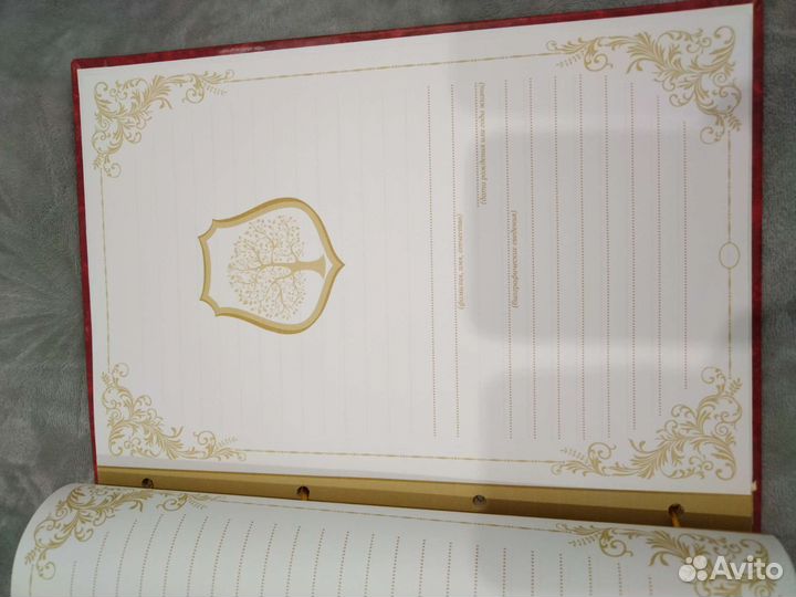 Книга Генеалогическое древо рода