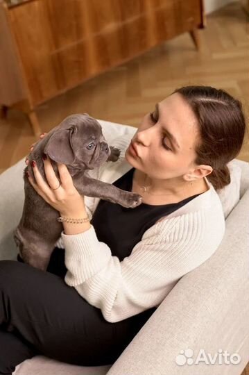 SMM-менеджер, SEO-специалист