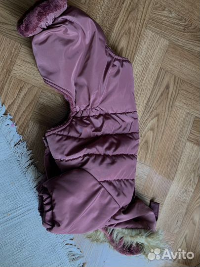 Товары для животных