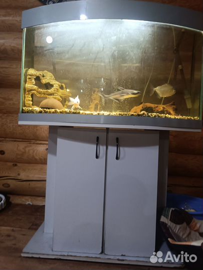 Аквариум с тумбой