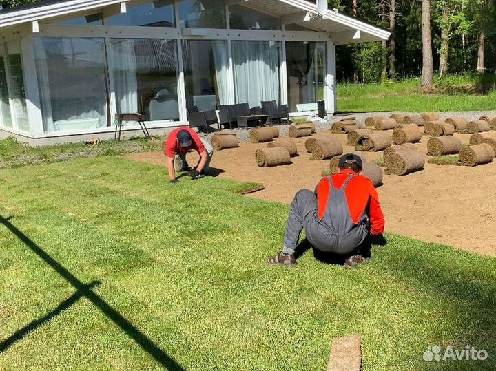 Качественный газон под ключ