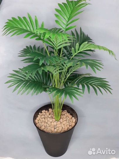 Искусственная пальма