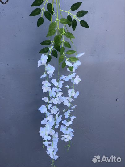 Глициния искусственная белая б/у