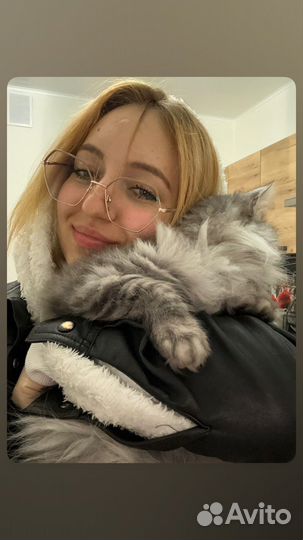 Няня, бебиситтер