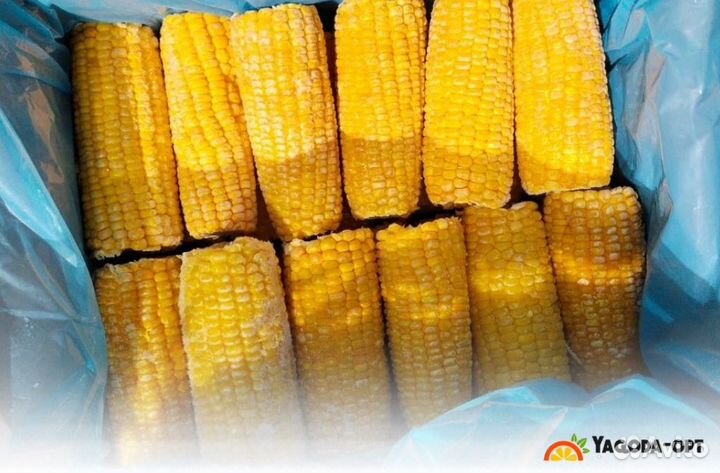 Кукуруза замороженная