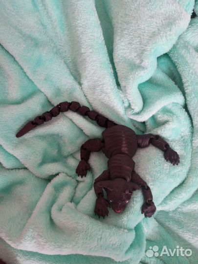 3D Котёнок сфинкс - Буся