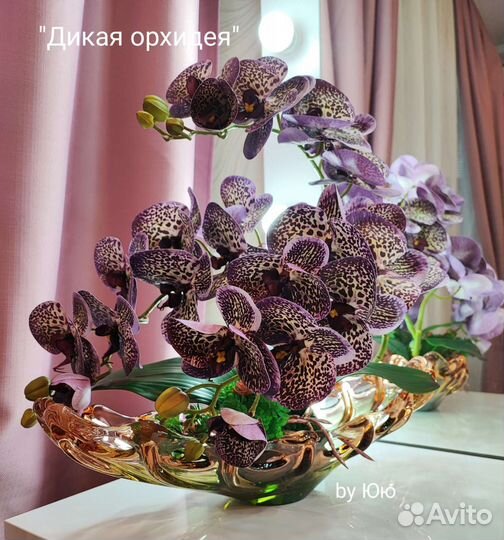 Орхидеи интерьерные