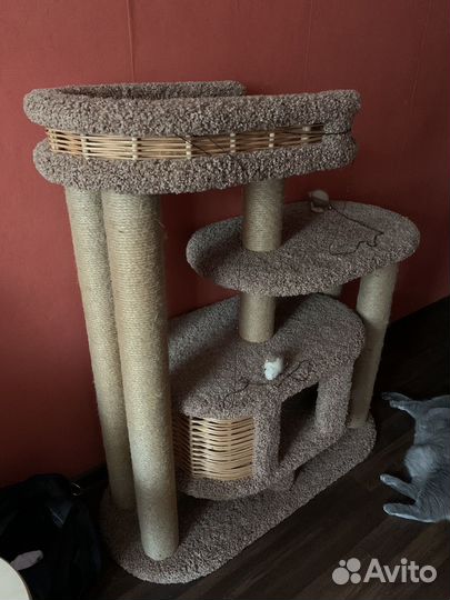 Кошачий домик