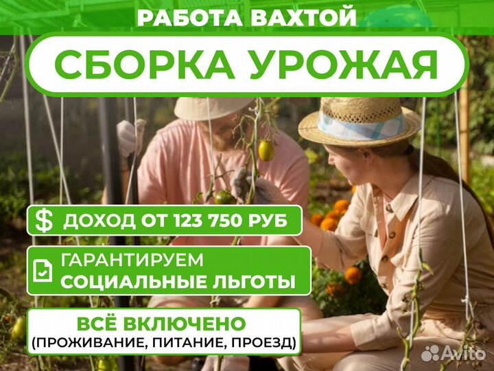 Работа на конвеере. ТК устройство