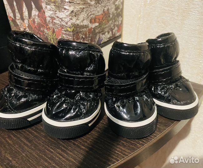 Сапожки для собачки