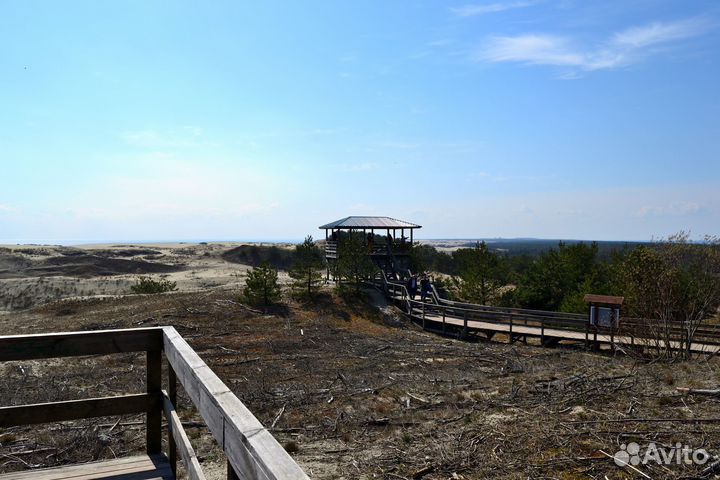 Экскурсия на Куршскую косу. Всё включено