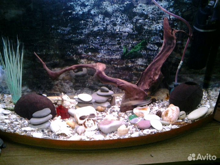 Чистка аквариумов Москва и Московская обл