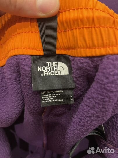 Спортивные штаны the north face