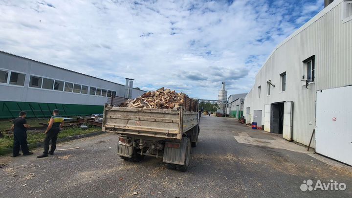 Дрова берёза Горбыль