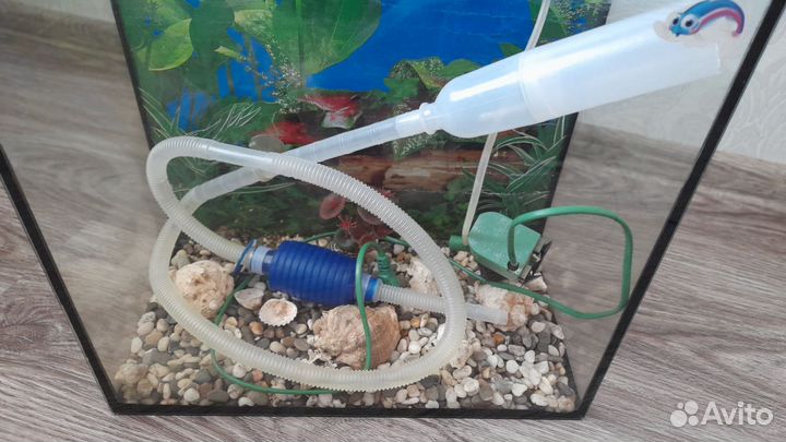 Аквариум
