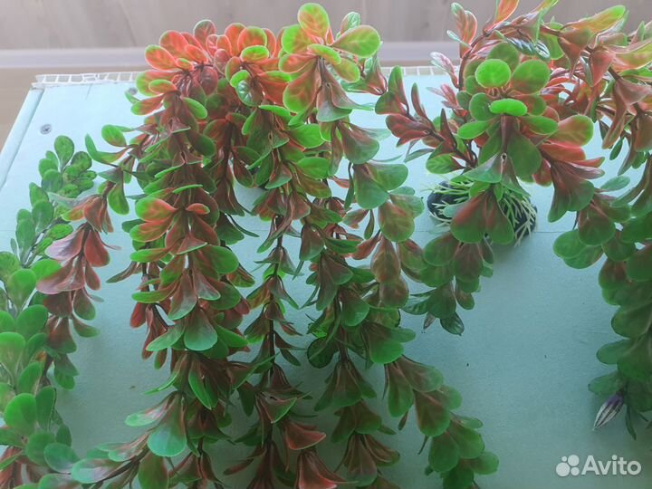 Декор для аквариума